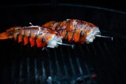 MEATER Block Met 4 Draadloze Thermometers -Buitentuinwinkel 20190625 mg 6541