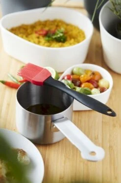 Barbecook Sauspan Met Marinadeborstel -Buitentuinwinkel 900 600 bc acc 7211 sf 07 hr