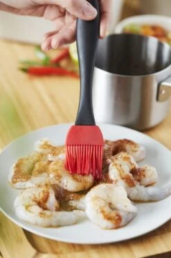 Barbecook Sauspan Met Marinadeborstel -Buitentuinwinkel 900 600 bc acc 7211 sf 12 hr