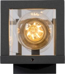 Lucide Claire Mini E27 Wandlamp - 2 Spots - Antraciet -Buitentuinwinkel lucide claire mini e27 wandlamp 2 spots antraciet 3