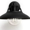 Philips MyGarden Cormorant E27 Wandlamp - Zwart -Buitentuinwinkel philips cormorant voorkant